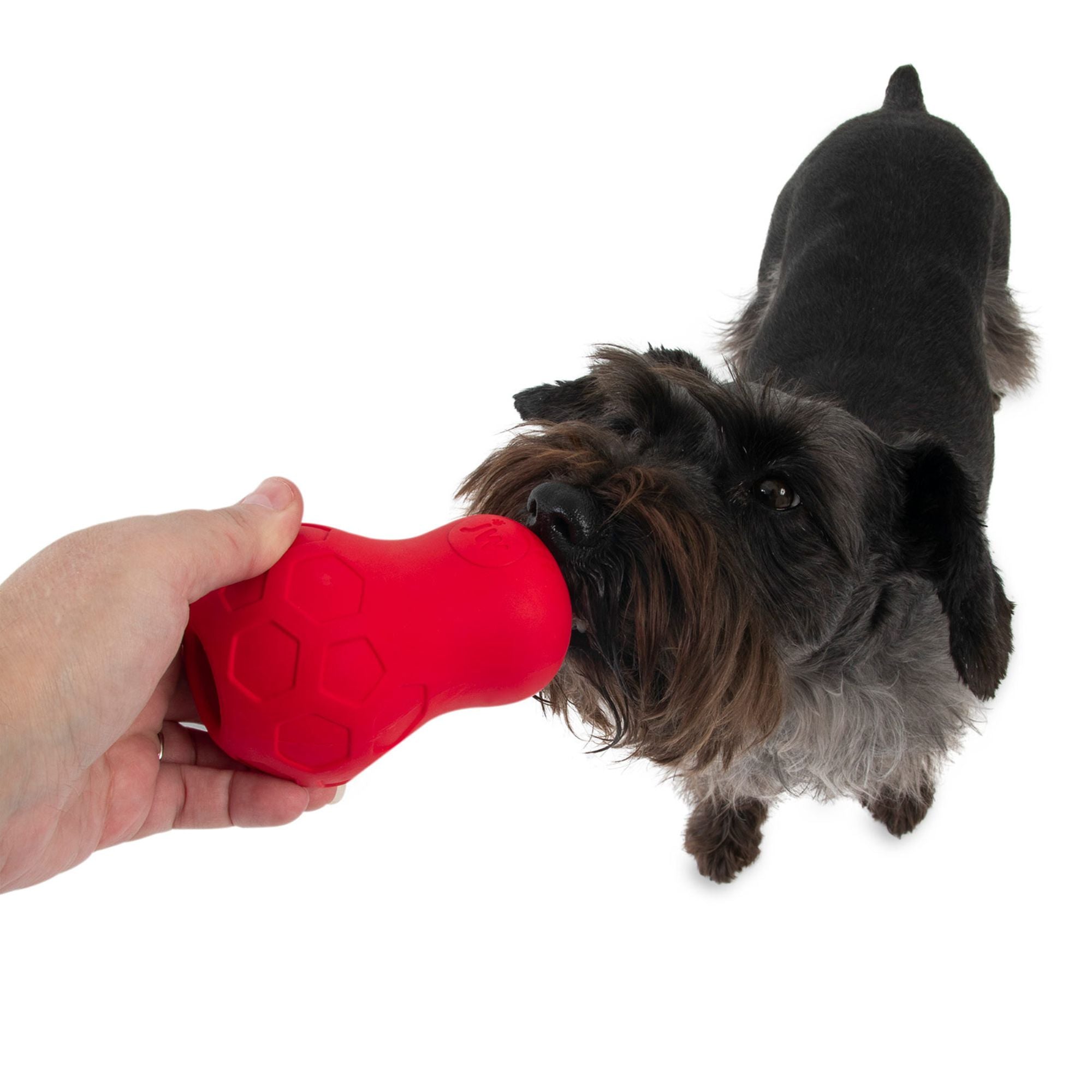 JW Pet Tumble Teez Interactive Treat Dispensing Dog Toy