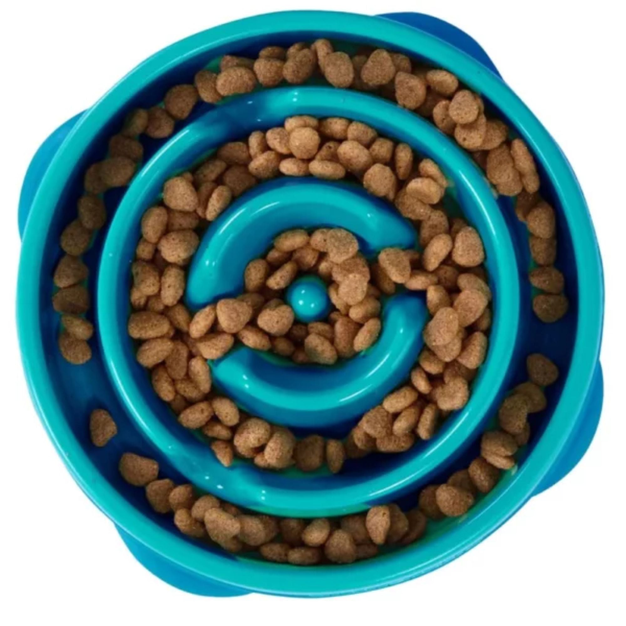Outward Hound Fun Feeder Slow Feeder Dog Bowl