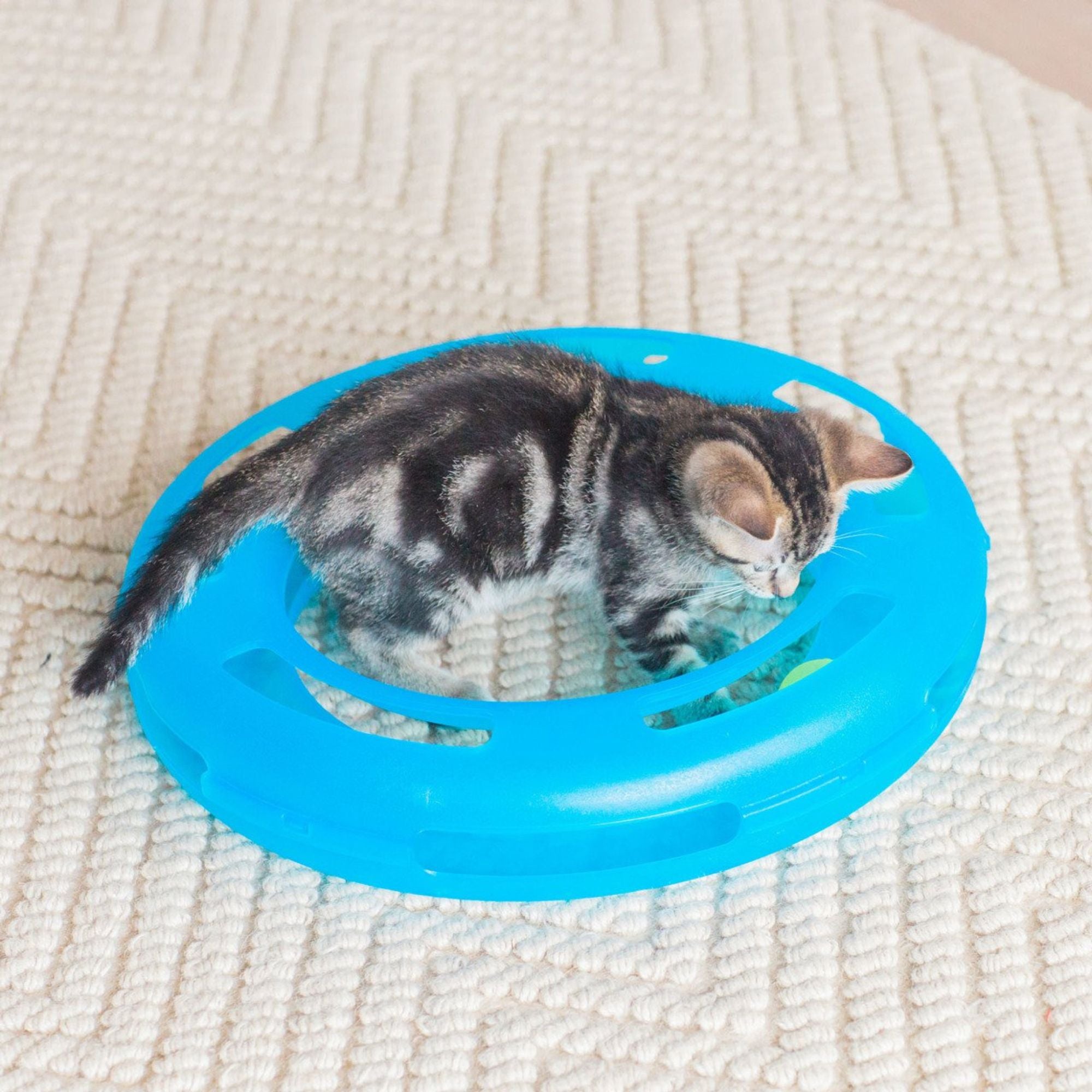 Fat Cat Crazy Circle Cat Toy
