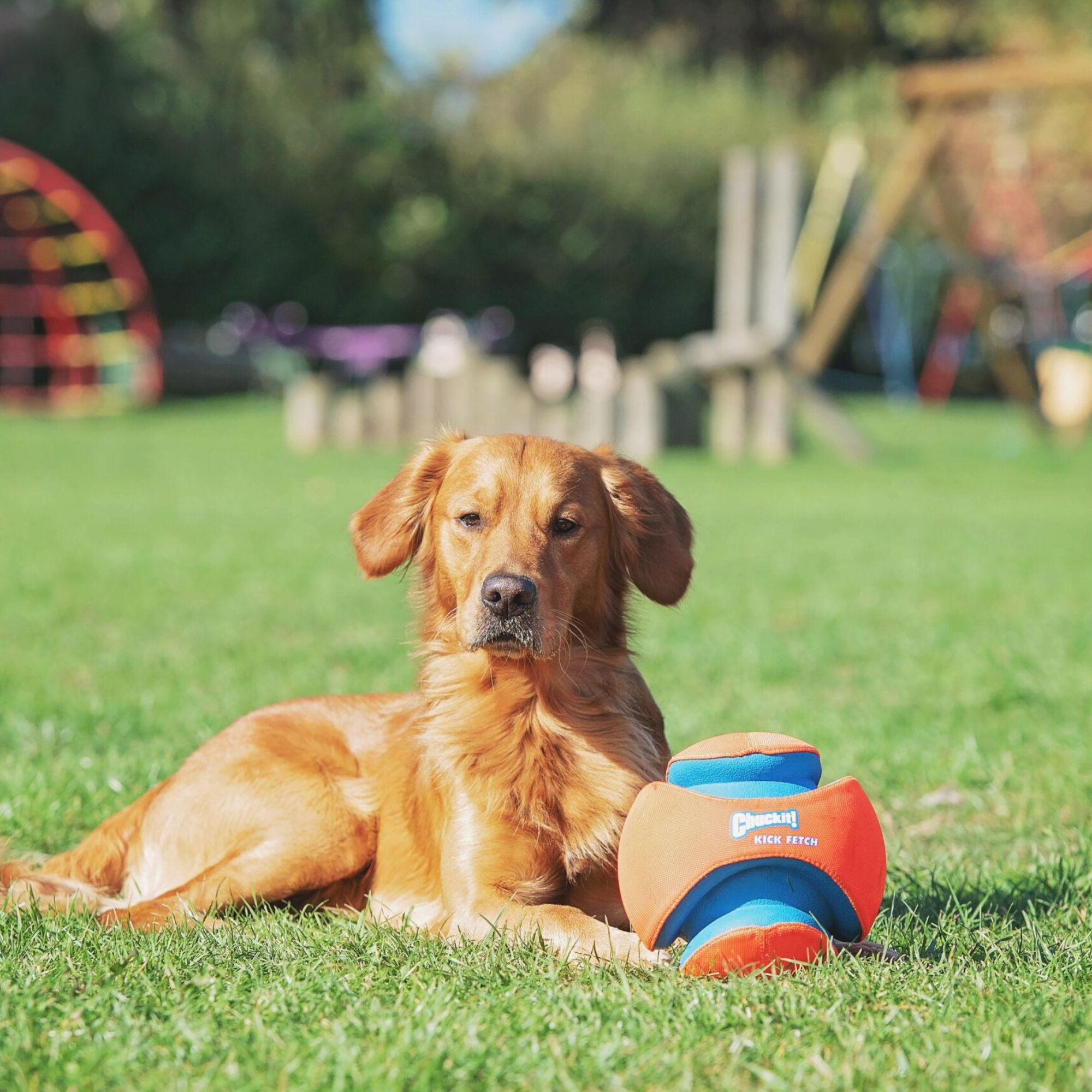Chuckit! Kick Fetch