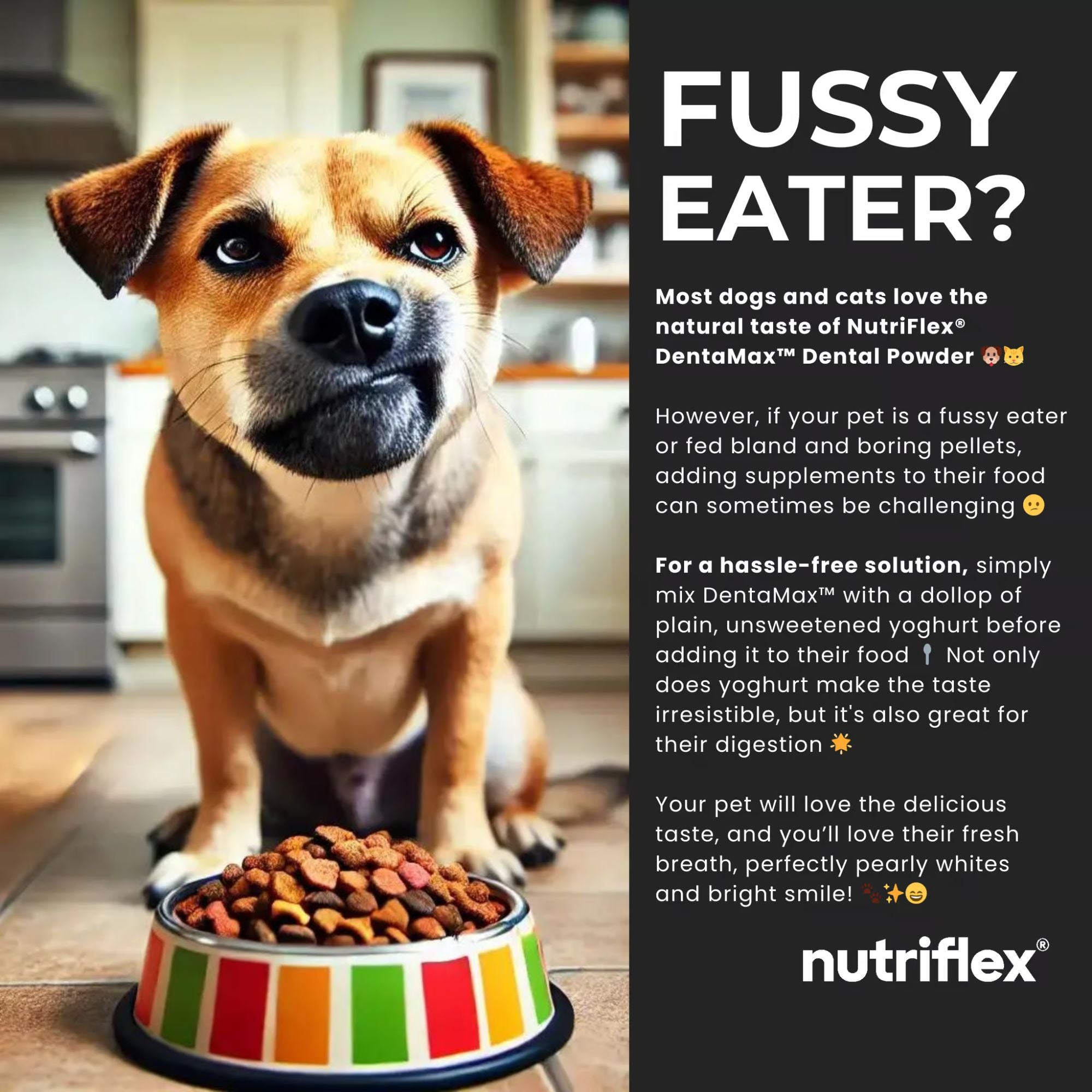 NutriFlex DentaMax Dental Powder for Dogs and Cats 180g