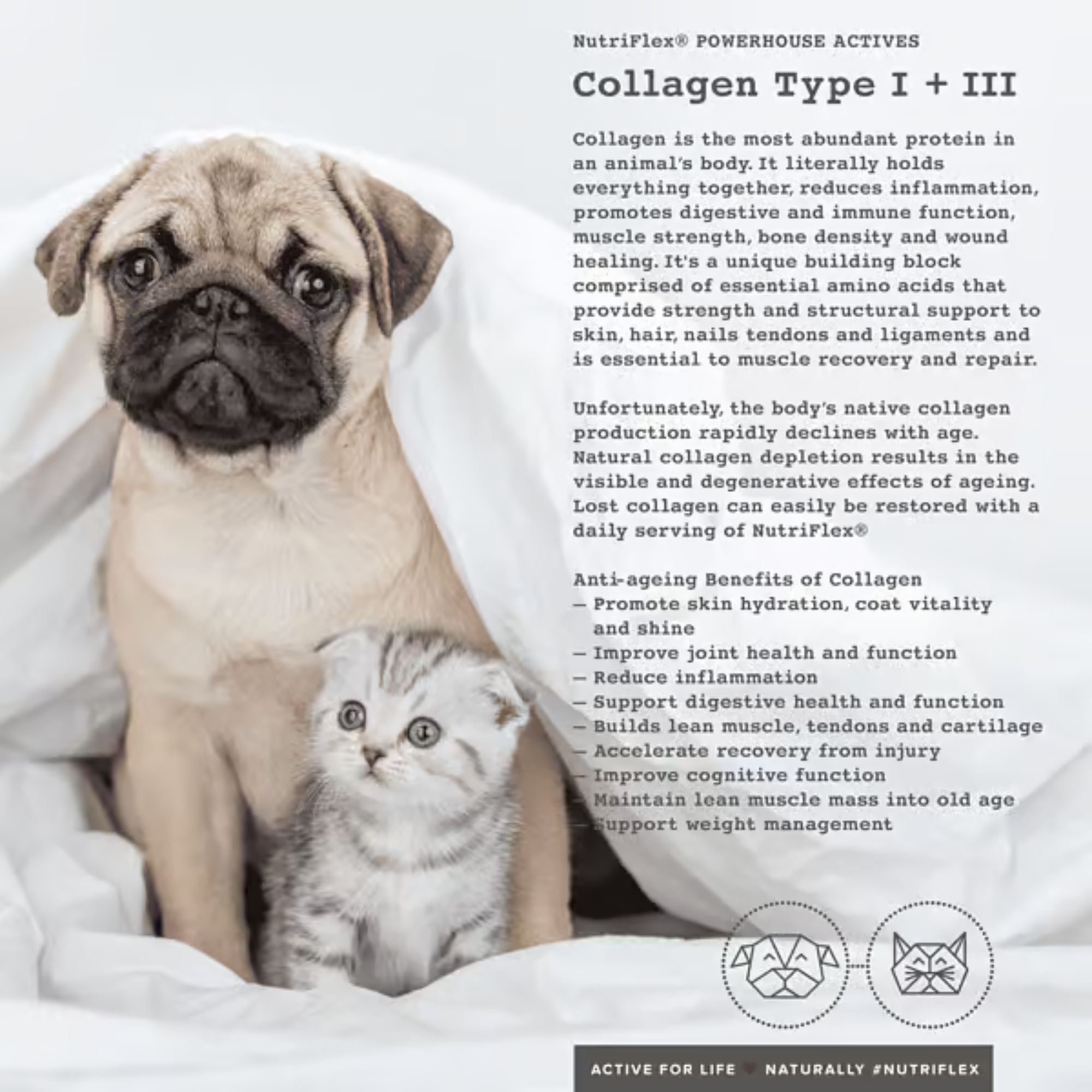 NutriFlex Advanced Hip & Joint Care For Dogs and Cats