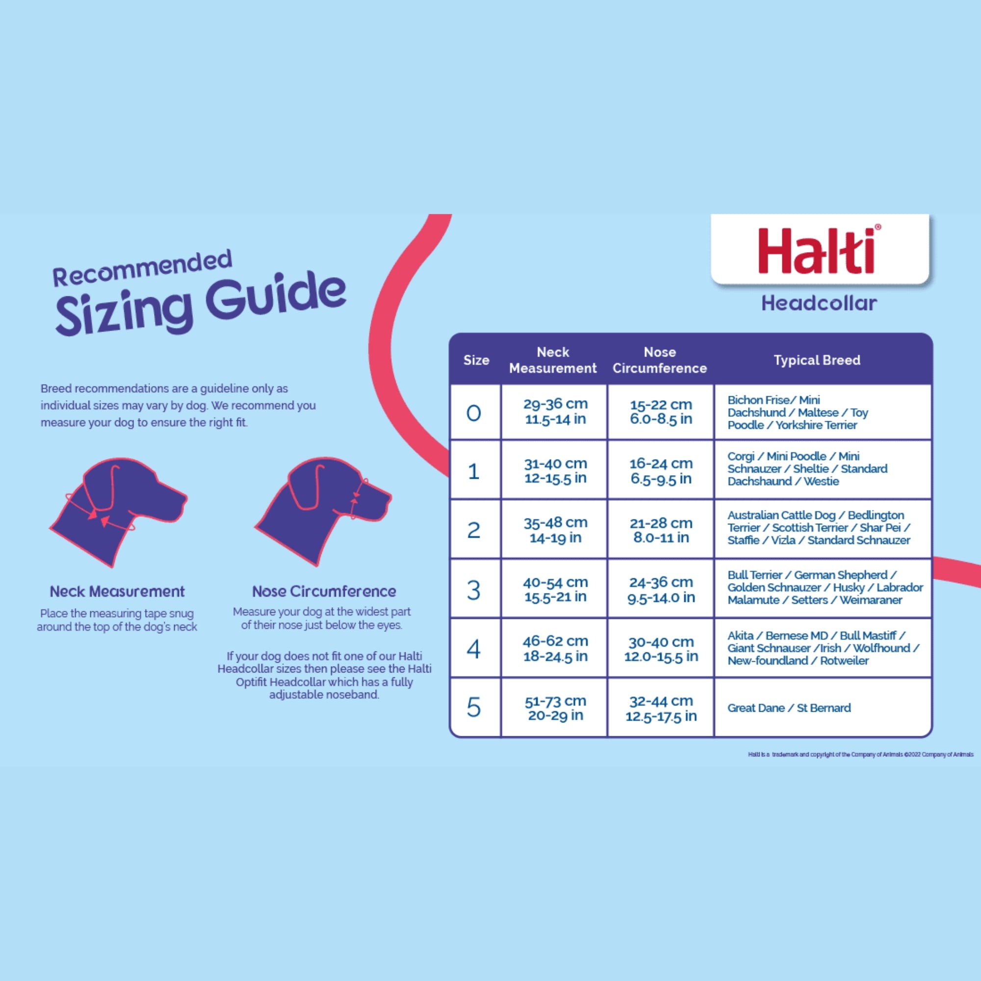 Halti Headcollar