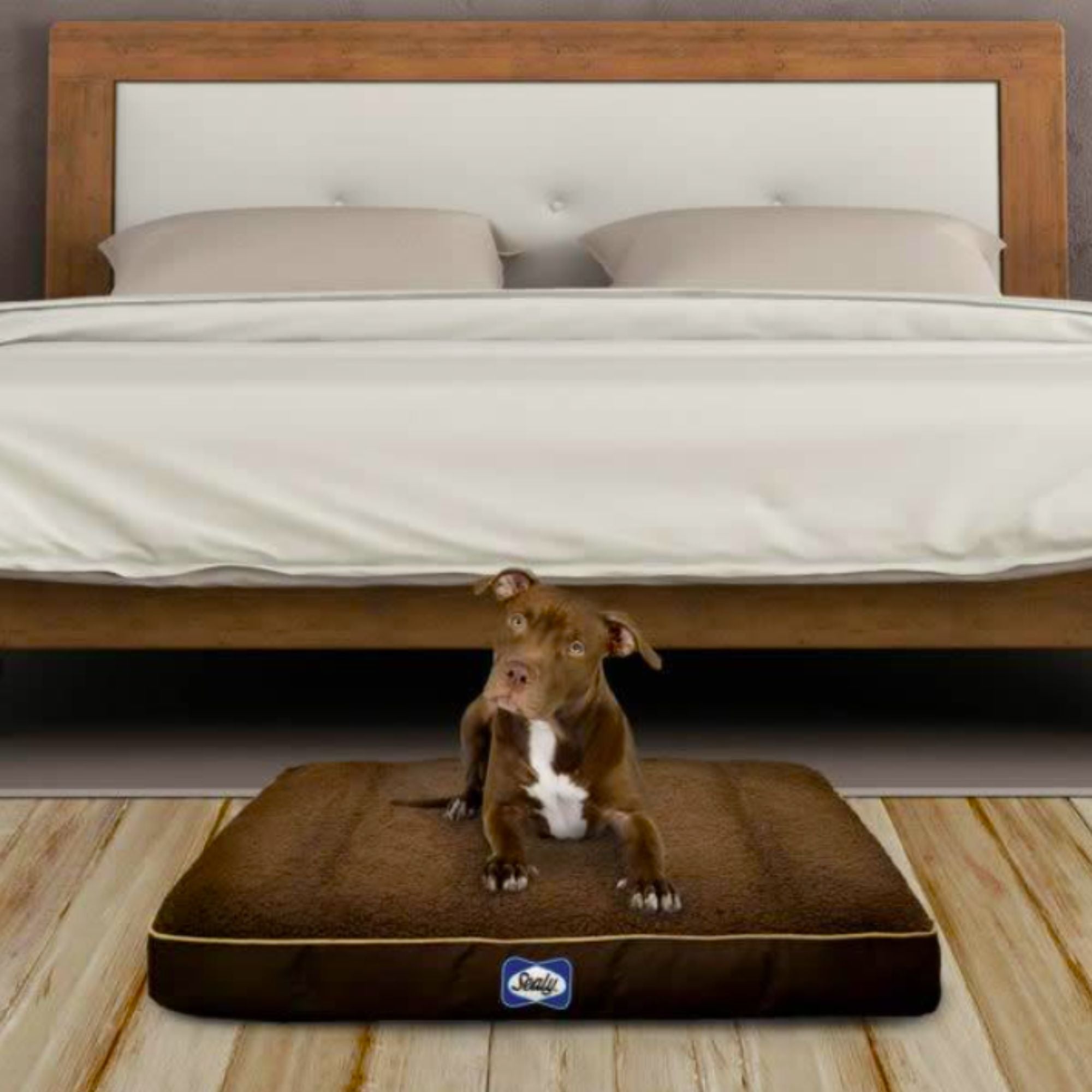 Sealy Cushy Comfy Orthopedic Dog Bed with Cooling Gel – Sherpa Feel