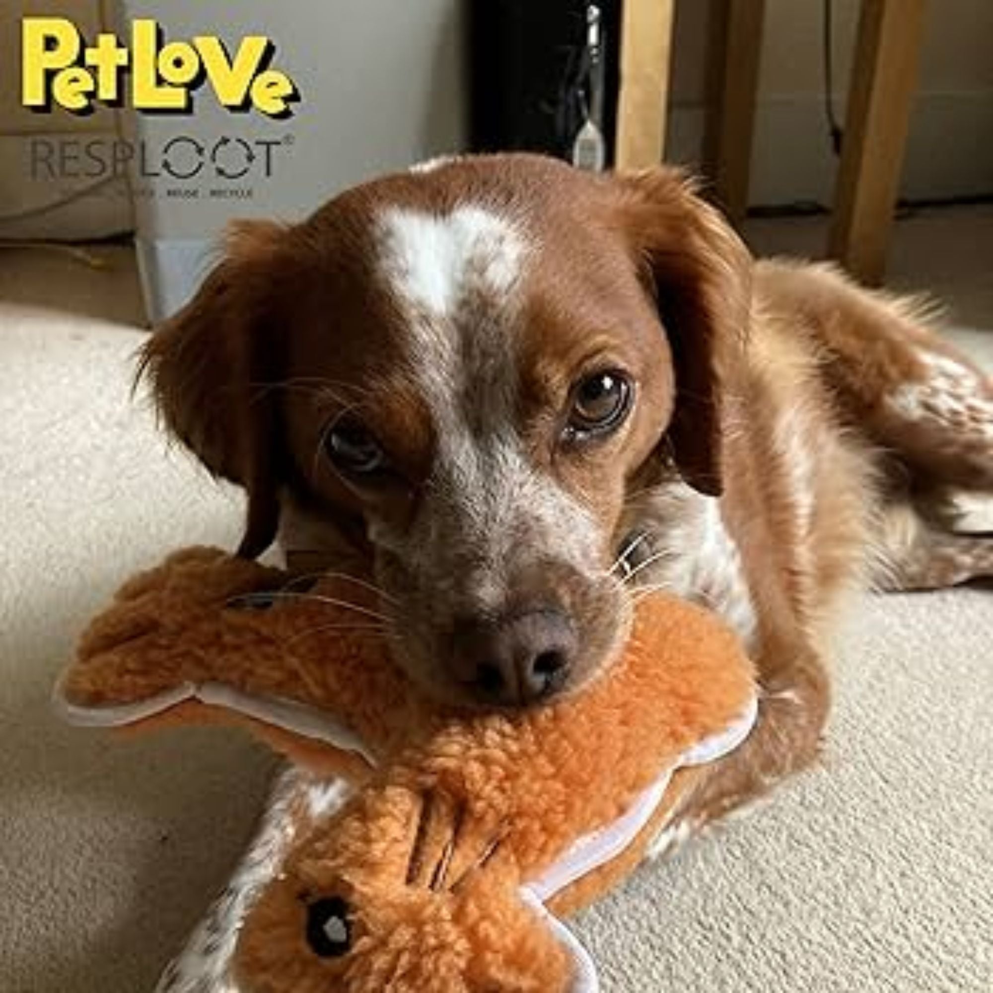 PetLove RESPLOOT Tuffles Sea Lion Dog Toy