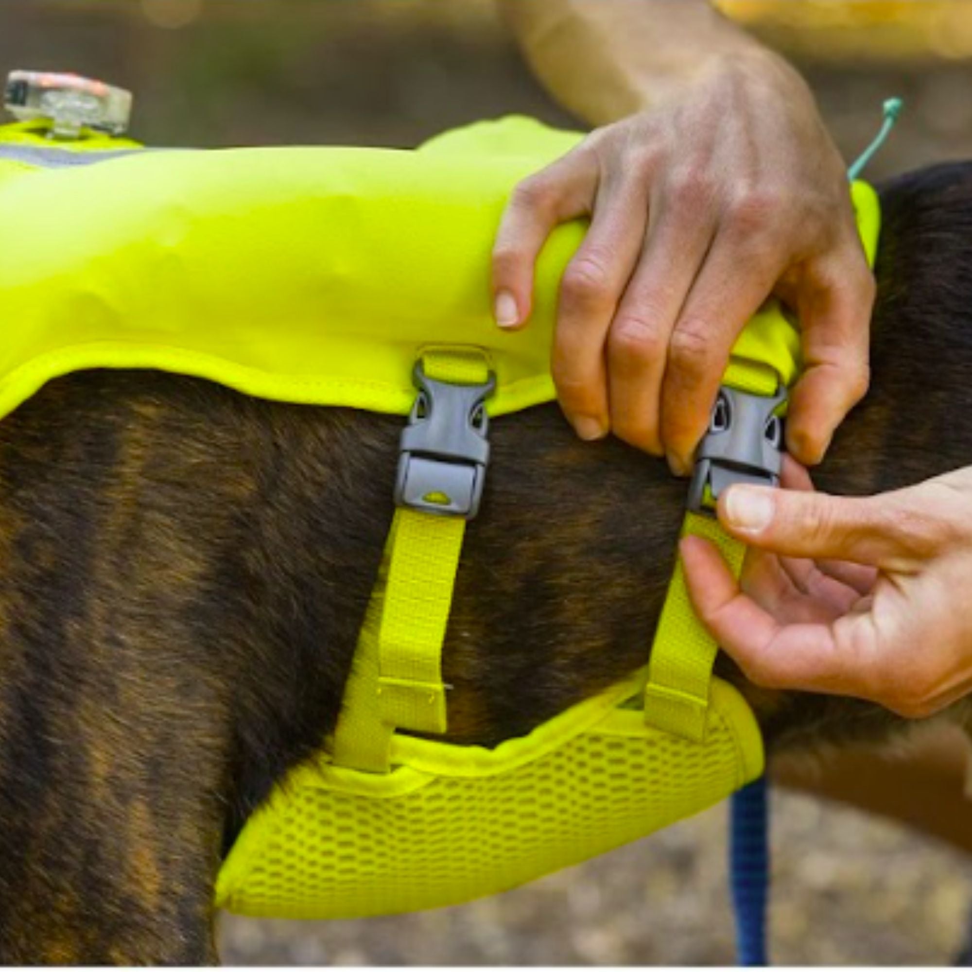 Ruffwear Trail Runner™ Dog Running Vest & Hydration Pack