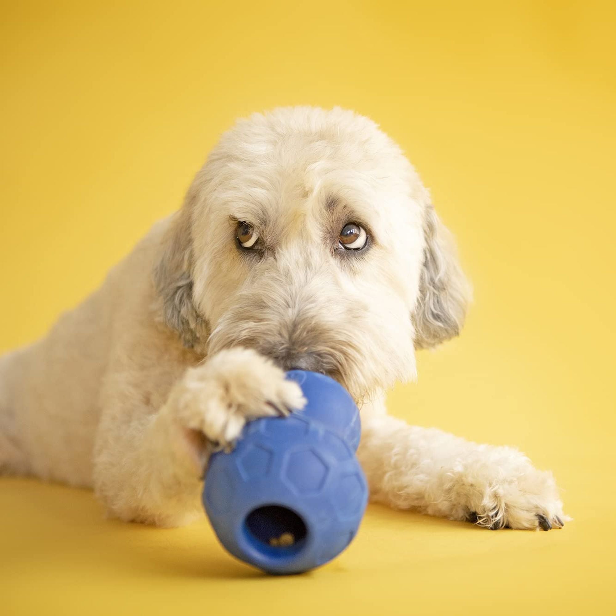 JW Pet Tumble Teez Interactive Treat Dispensing Dog Toy