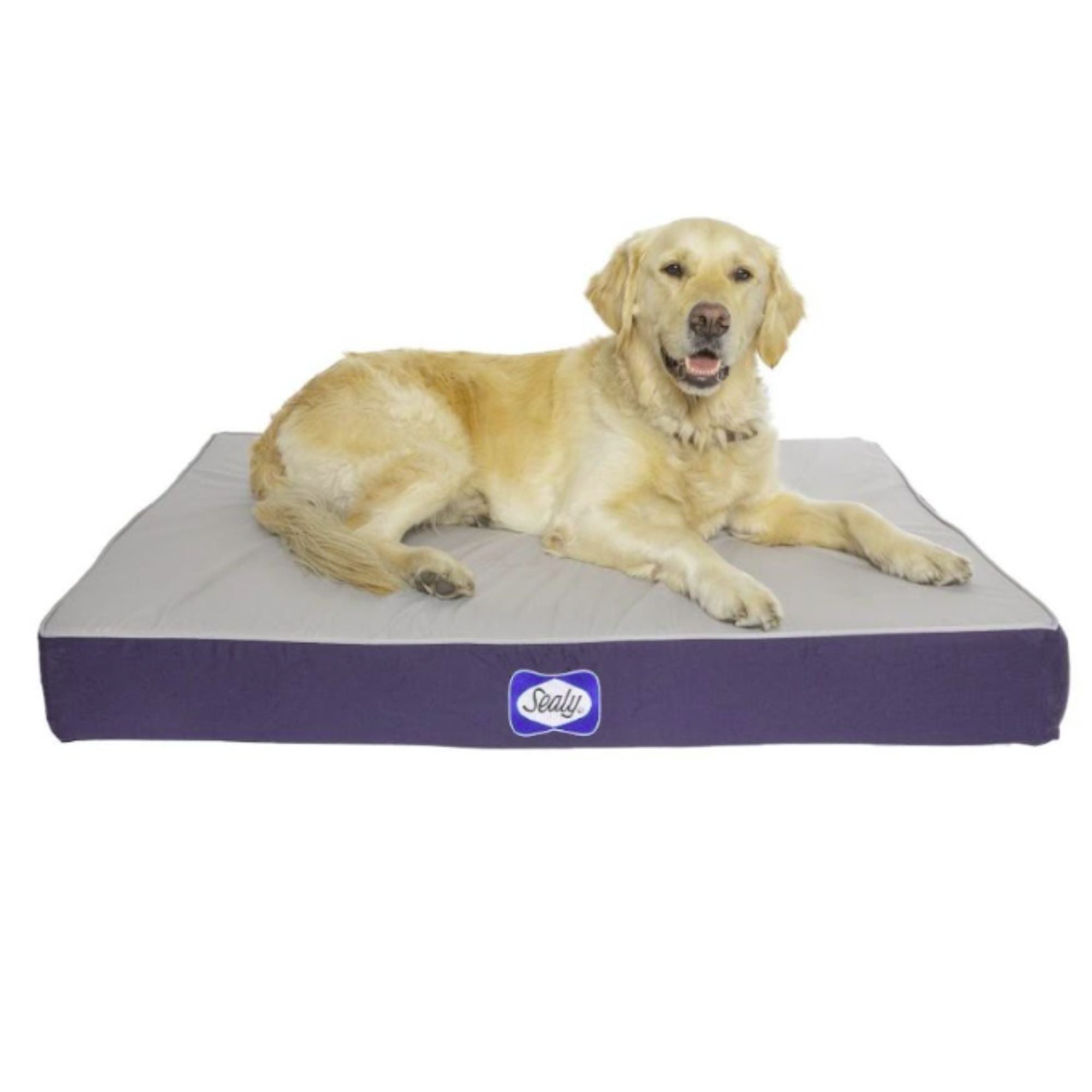Sealy Defender Orthopaedic Dog Bed with Cooling Gel