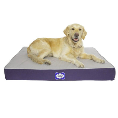 Sealy Defender Orthopaedic Dog Bed with Cooling Gel