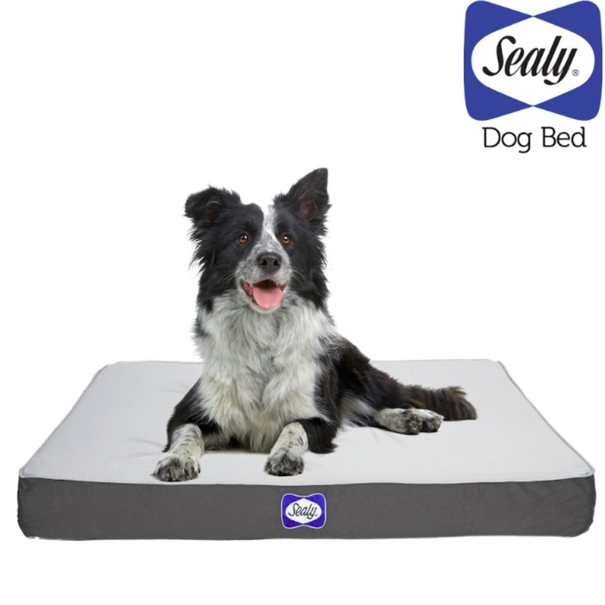 Sealy Defender Orthopaedic Dog Bed with Cooling Gel