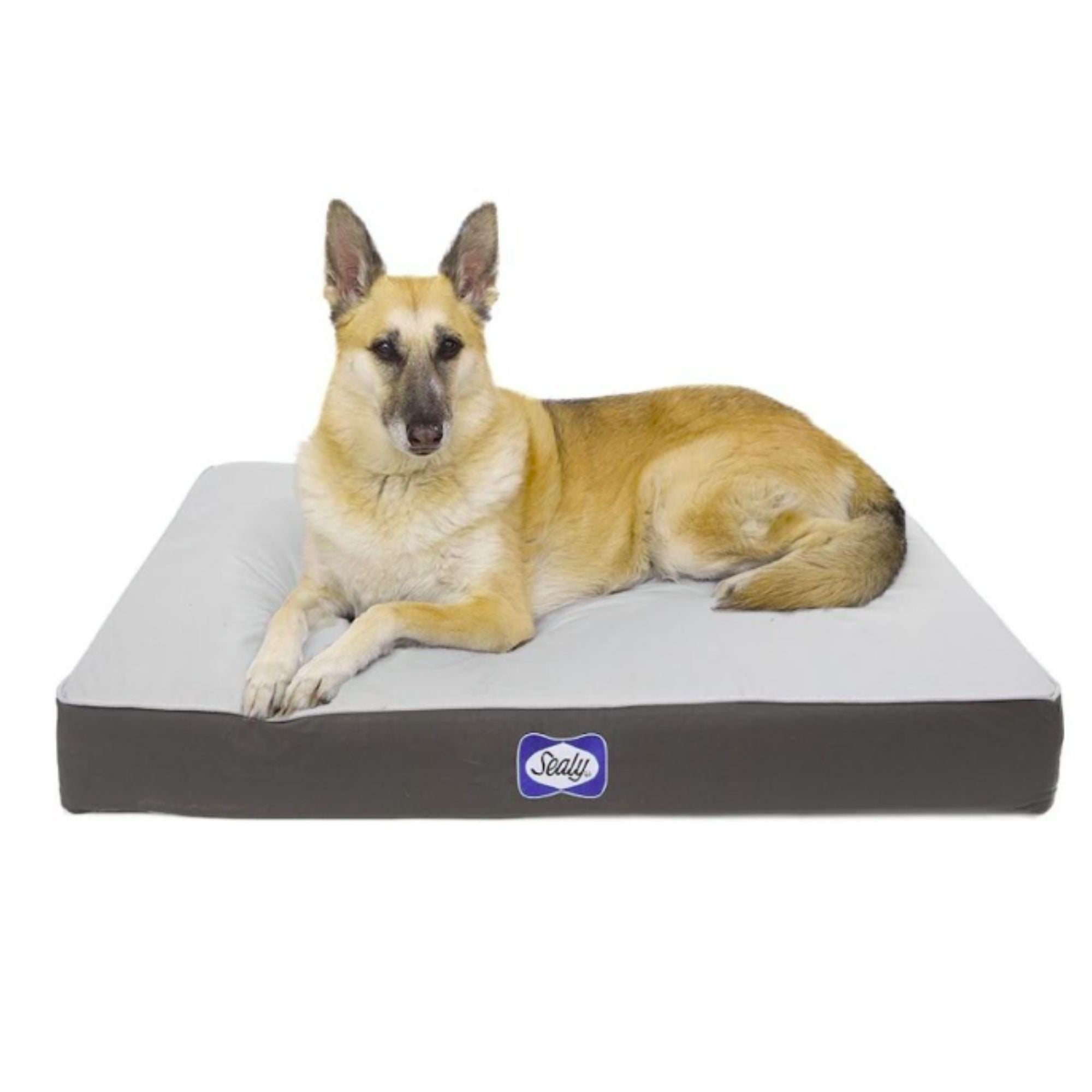 Sealy Defender Orthopaedic Dog Bed with Cooling Gel