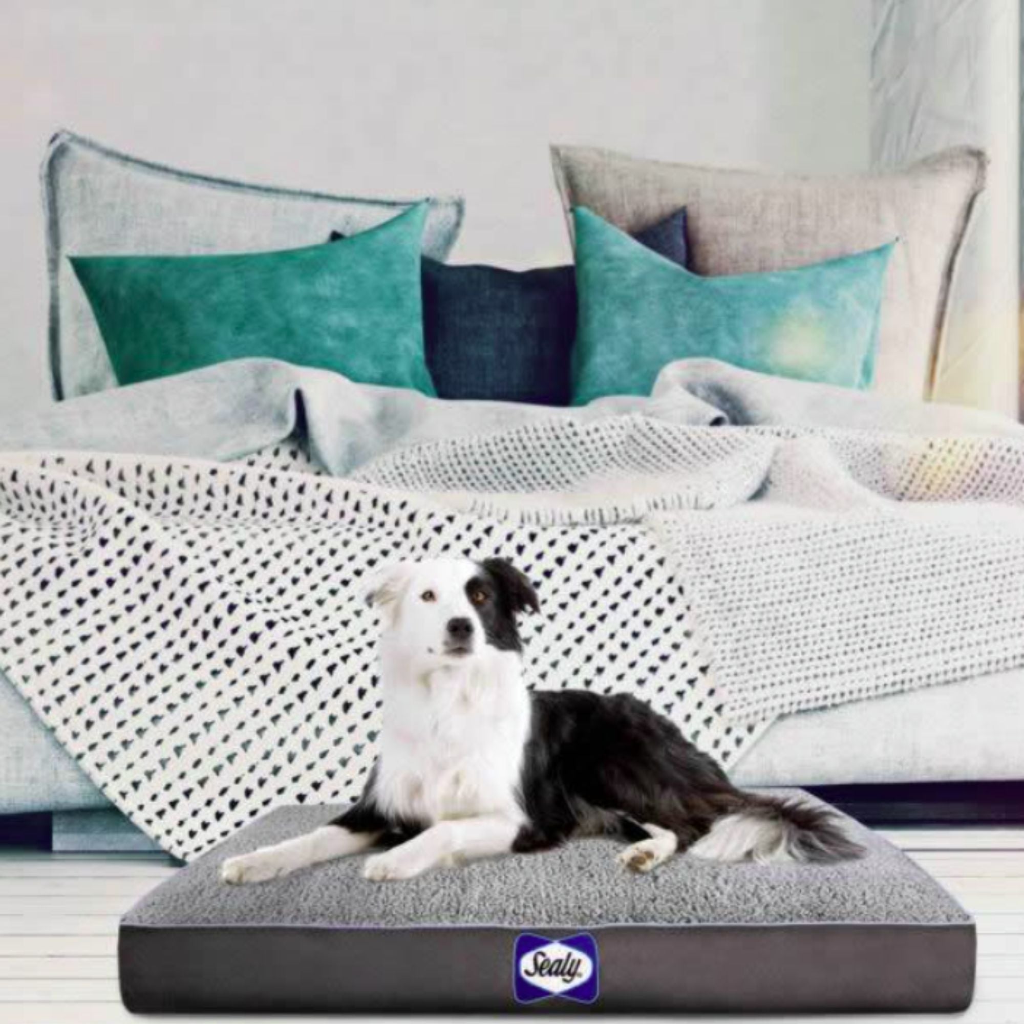 Sealy Replacement Cover for Cushy Comfy Orthopaedic Dog Bed – Non-Slip & Washable
