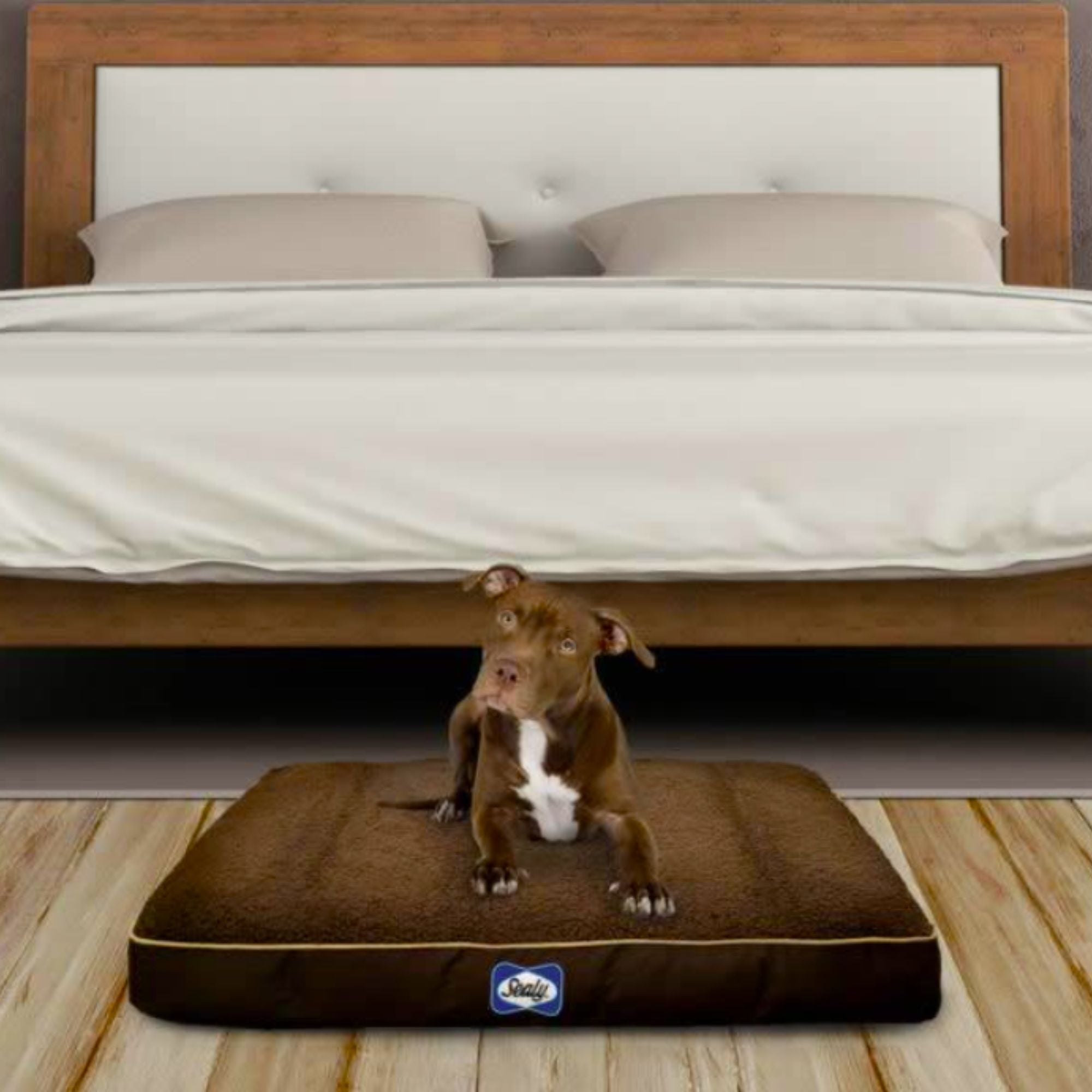 Sealy Replacement Cover for Cushy Comfy Orthopaedic Dog Bed – Non-Slip & Washable