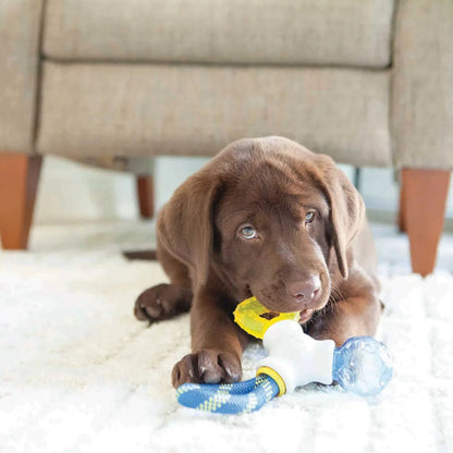 JW Pet Puppy Connects Interactive Chew & Teething Toy