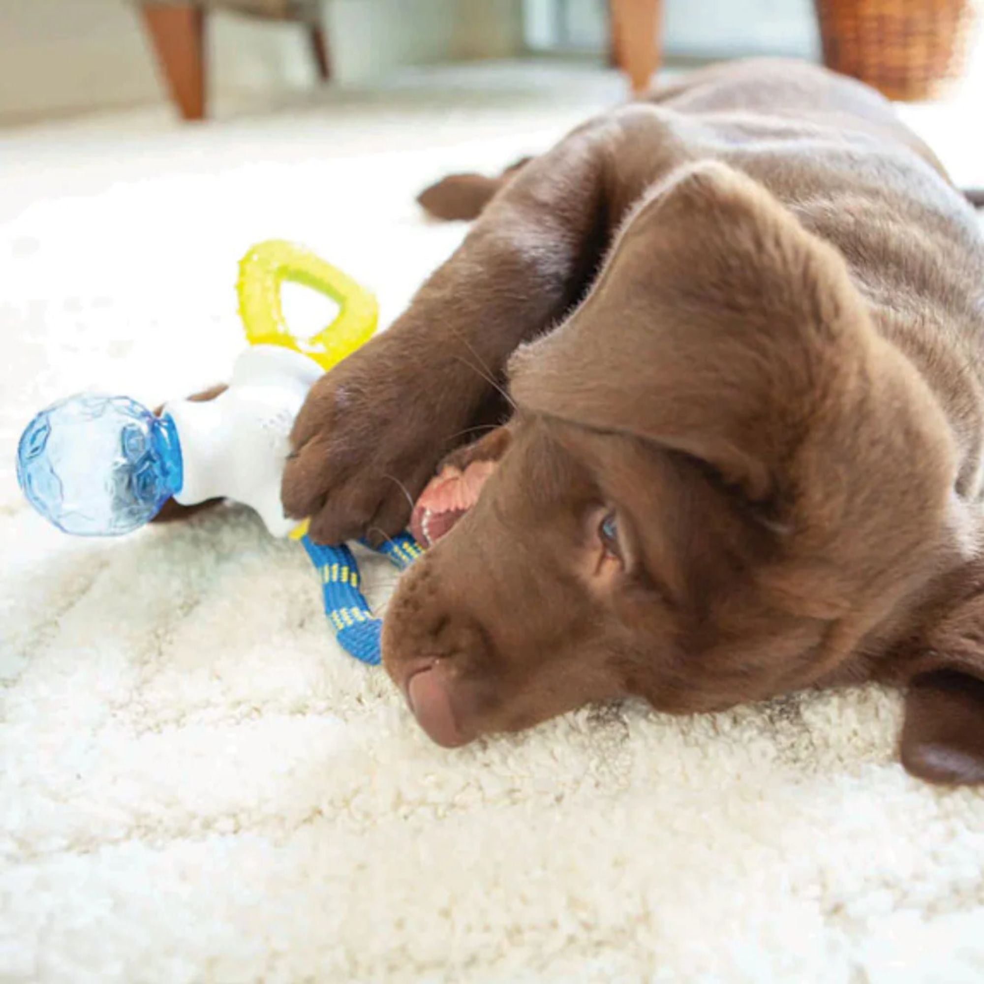 JW Pet Puppy Connects Interactive Chew & Teething Toy