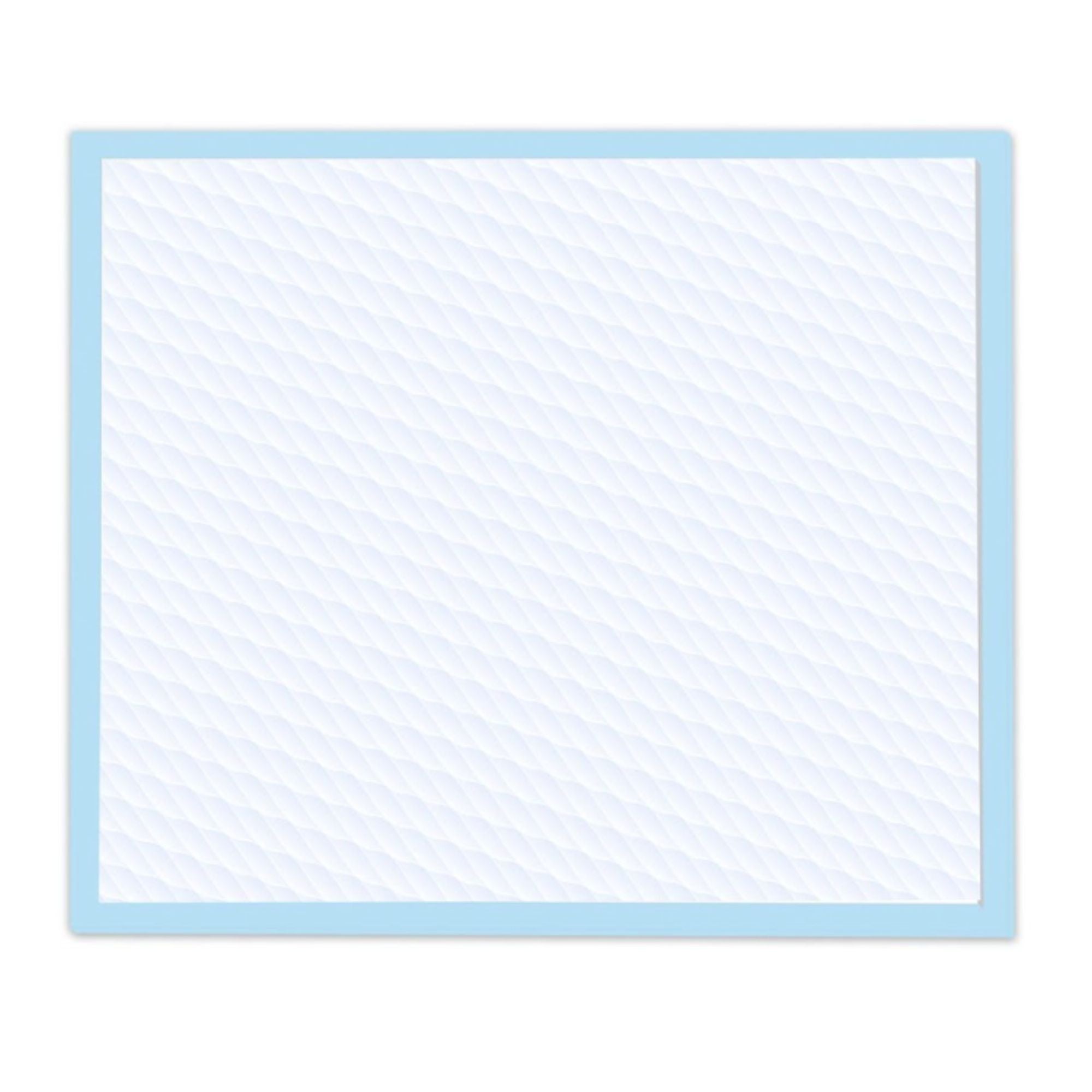 Wee-Wee Superior Performance Dog Training Pad