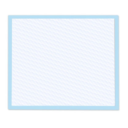 Wee-Wee Superior Performance Dog Training Pad