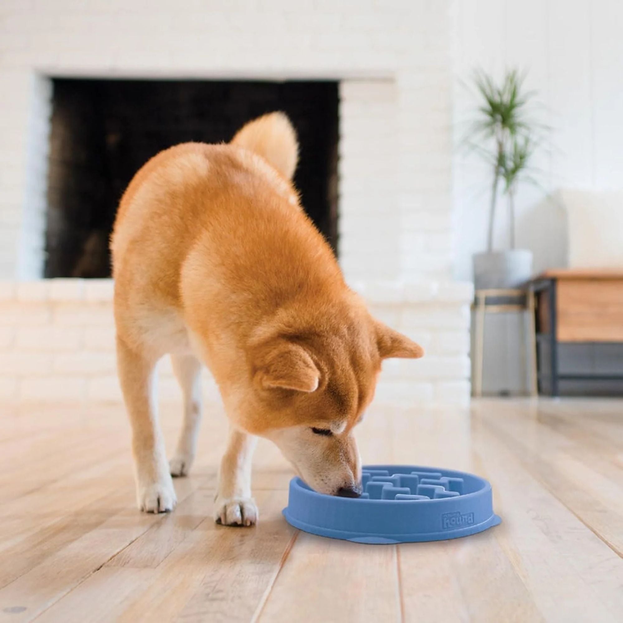 Outward Hound Fun Feeder Blue Large Slow Feeder Dog Bowl