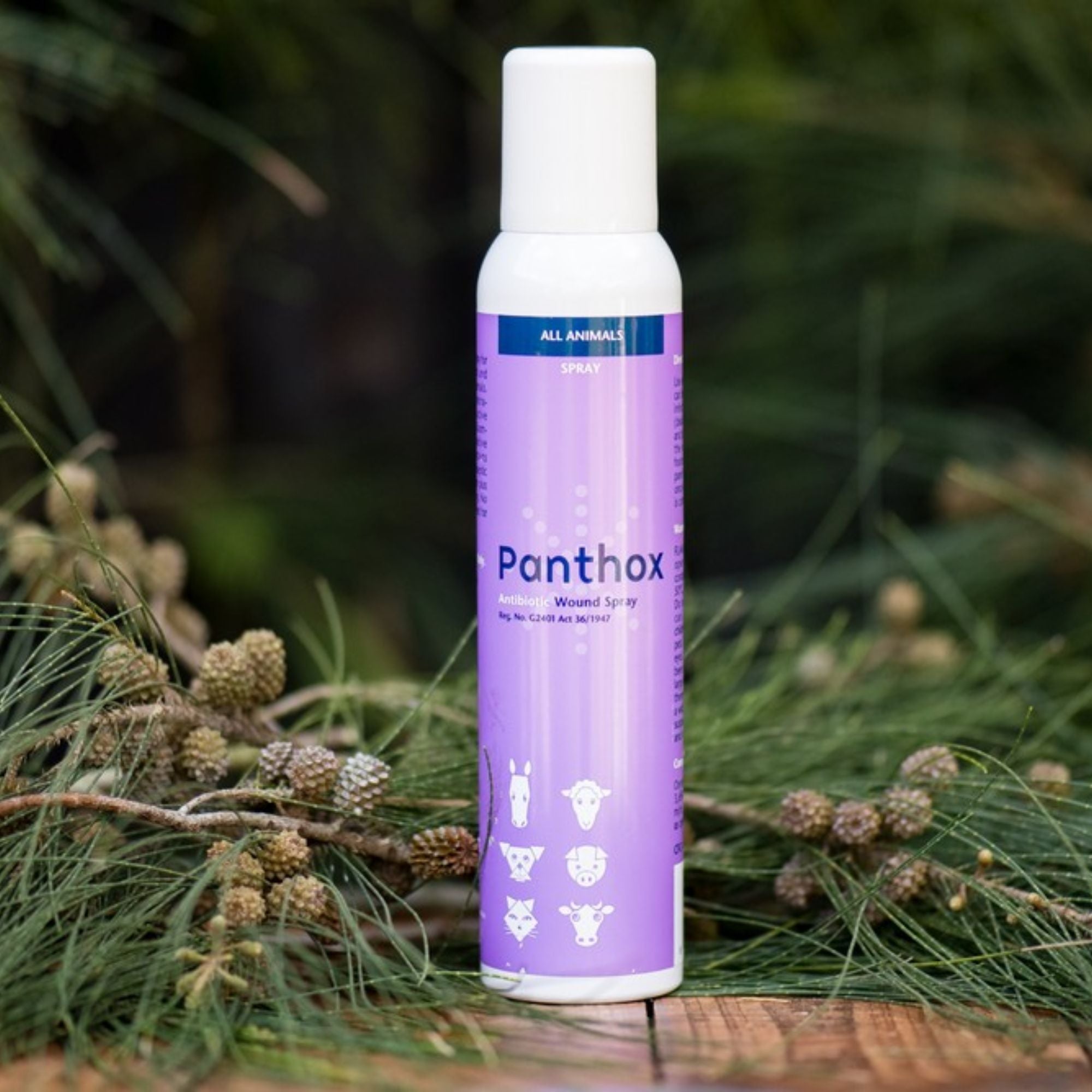 Panthox Antibiotic Wound Spray 200ml