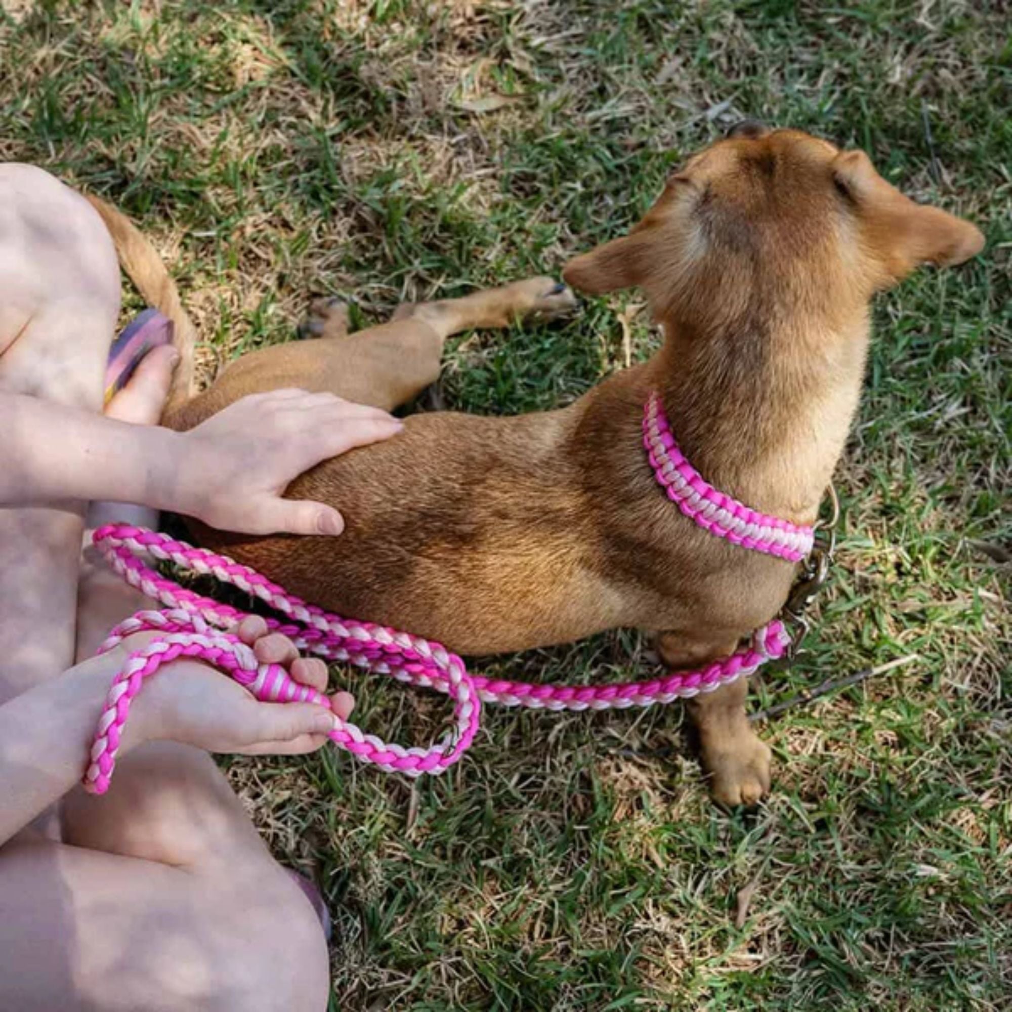 Lead with Love Kiddies Dog Lead