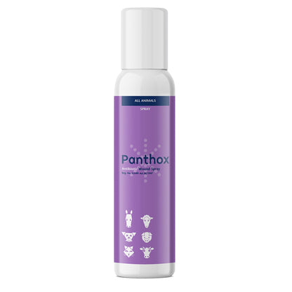 Panthox Antibiotic Wound Spray 200ml