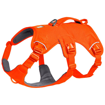 Ruffwear Web Master Multi-Use Dog Harness