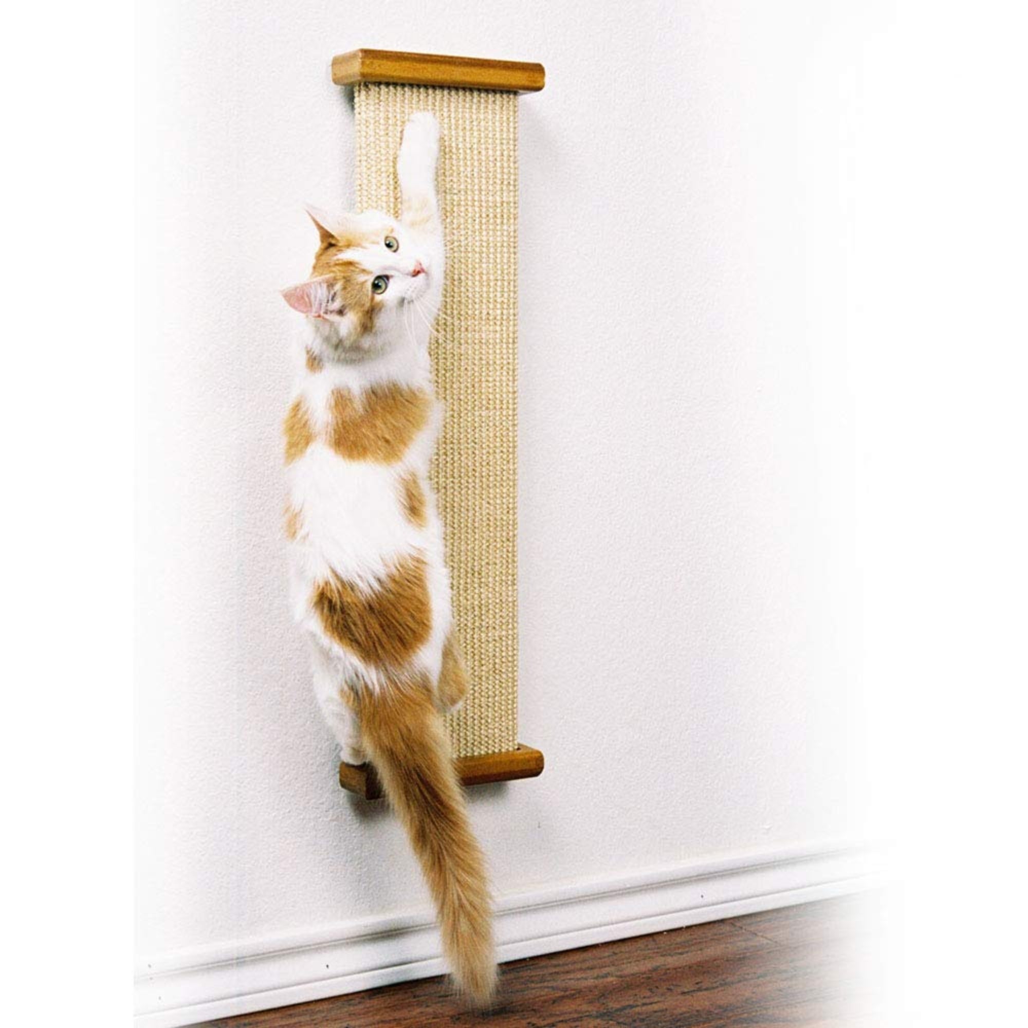 SmartCat Bootsie's Combination Scratcher