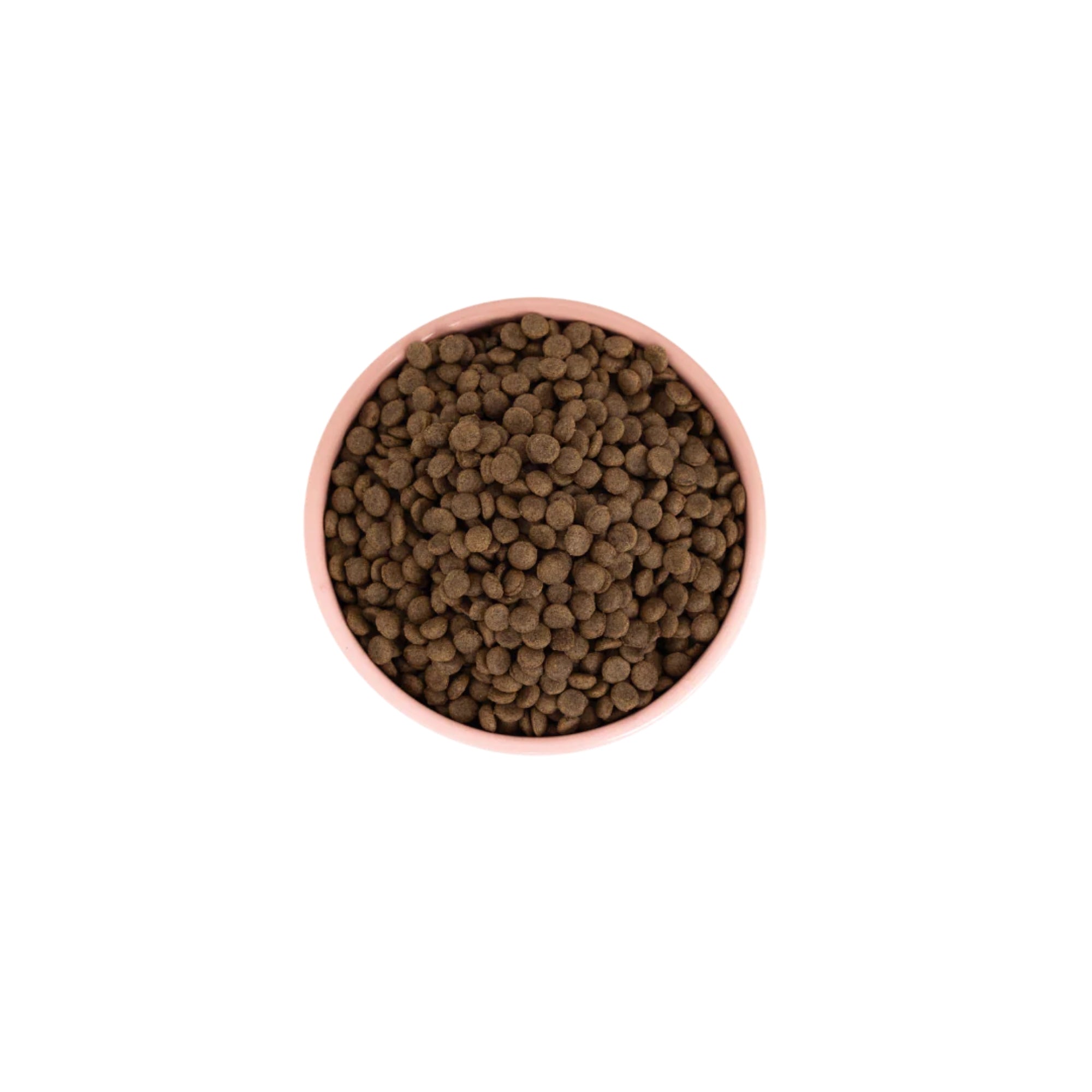 Aiko Puppy Dry Dog Food – Hypoallergenic Insect Protein