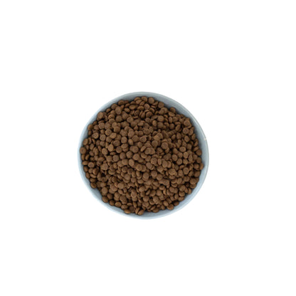 Aiko Adult Dry Dog Food Small Breeds – Hypoallergenic Insect Protein