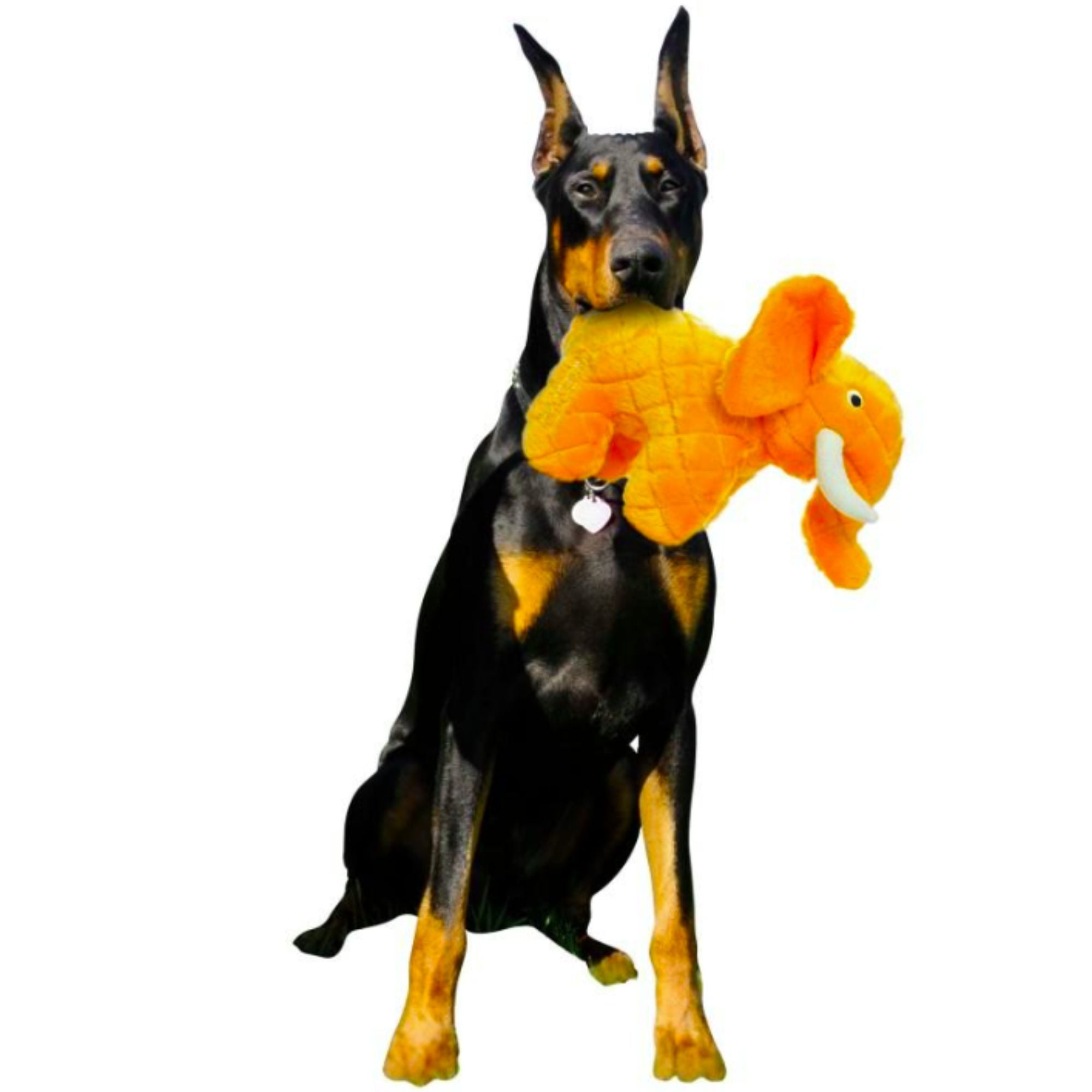 Mighty Safari Elephant Plush Dog Toy