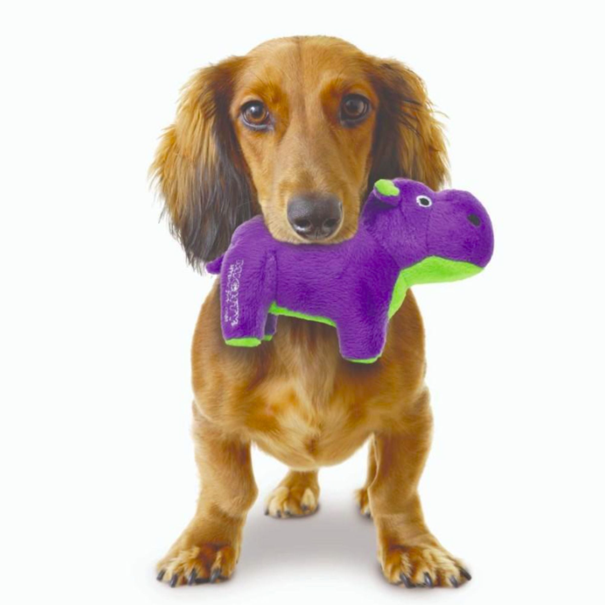Mighty Safari Hippo Plush Dog Toy