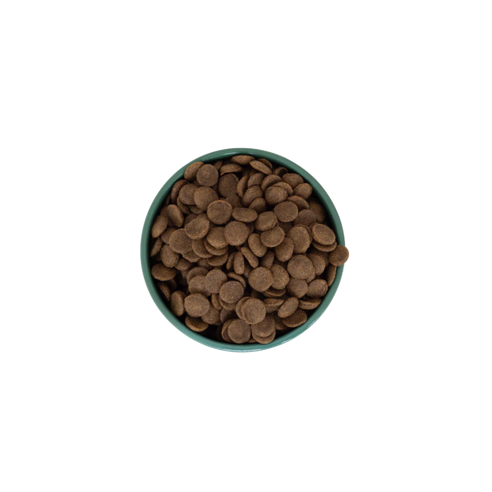 Aiko Adult Dry Dog Food Medium & Large Breeds – Hypoallergenic Insect Protein