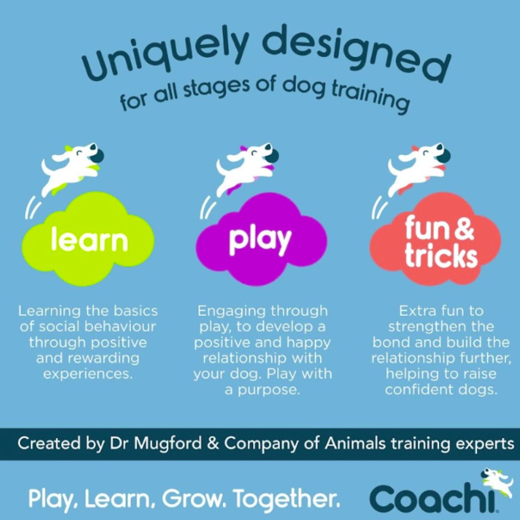 Coachi Training Dumbbell