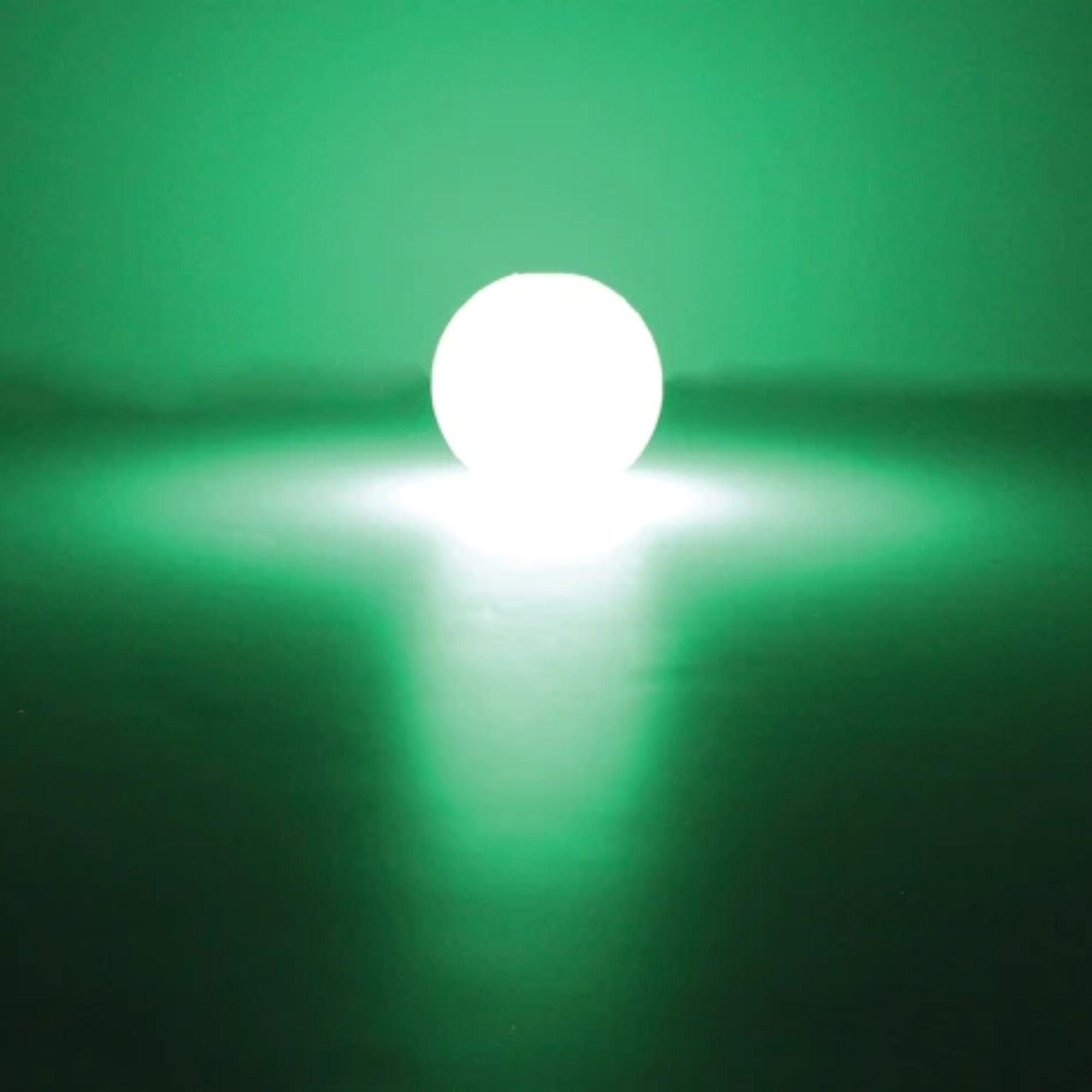 Chuckit! Max Glow Ball – Glow-in-the-Dark Fetch Toy for Dogs