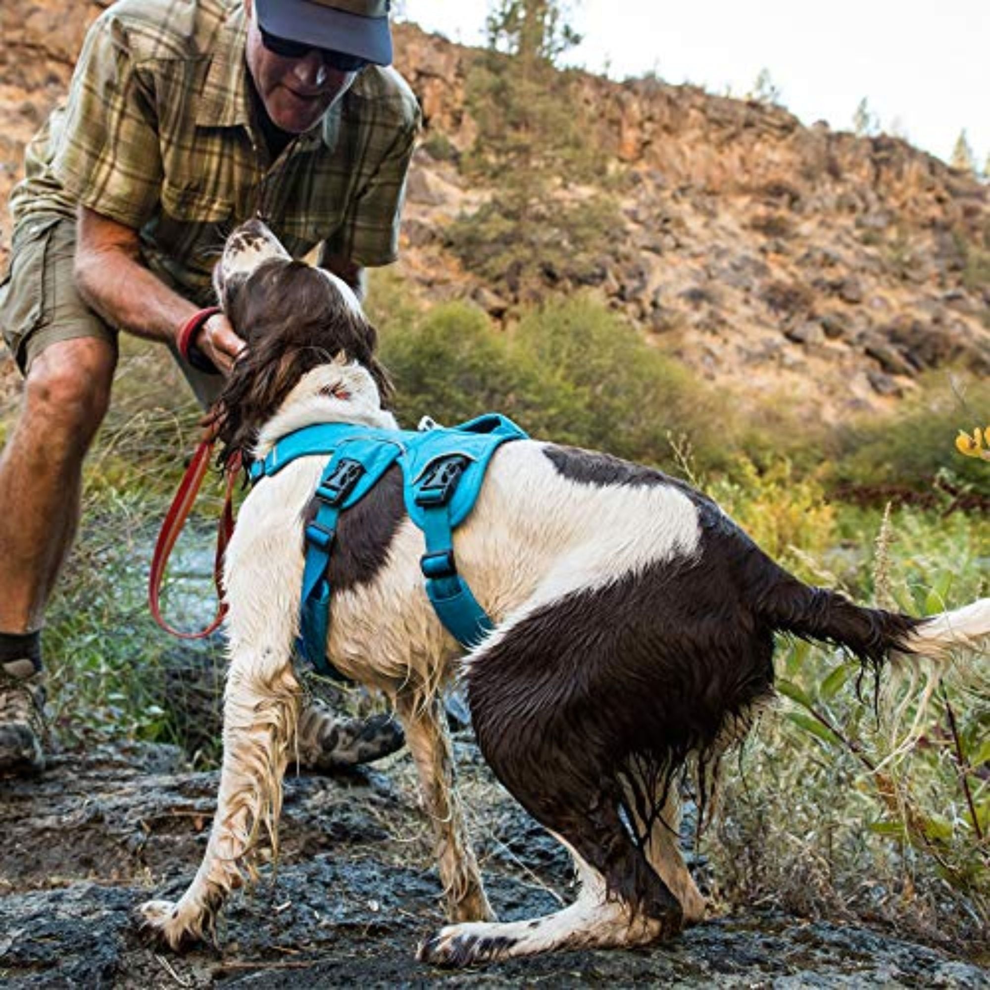 Ruffwear Web Master Multi-Use Dog Harness