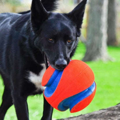 Chuckit! Kick Fetch