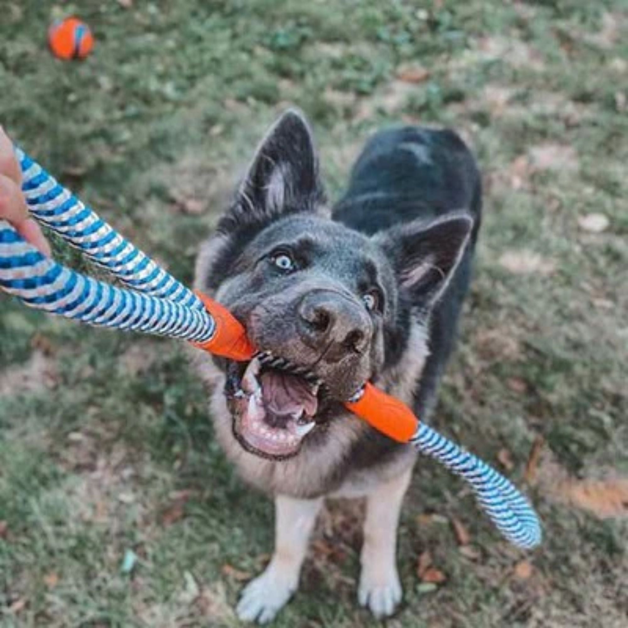 Chuckit! Mountain Rope Tug for Dogs