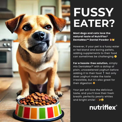 NutriFlex DentaMax Dental Powder for Dogs and Cats 180g