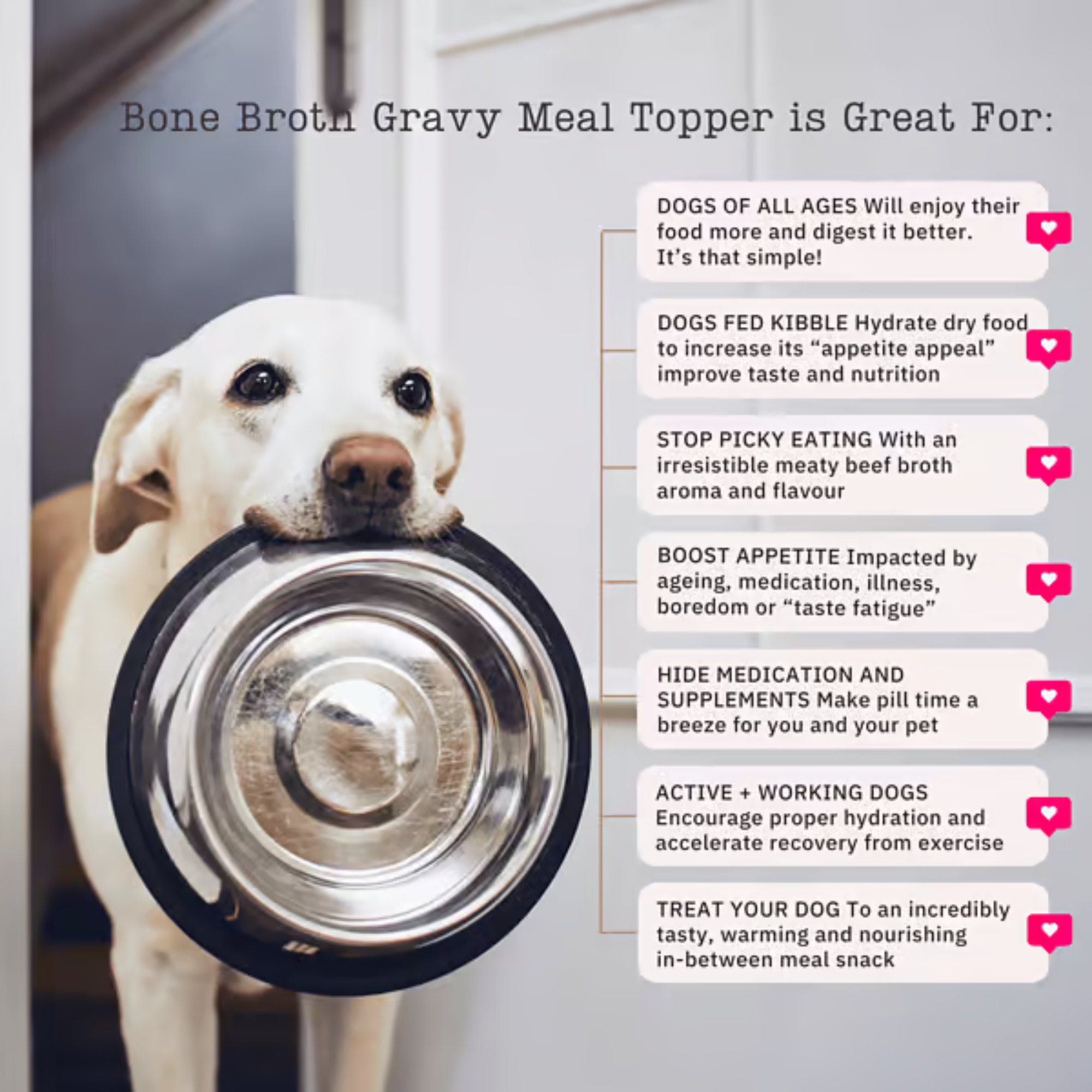 NutriFlex Chicken Bone Broth for Dogs & Cats 180g