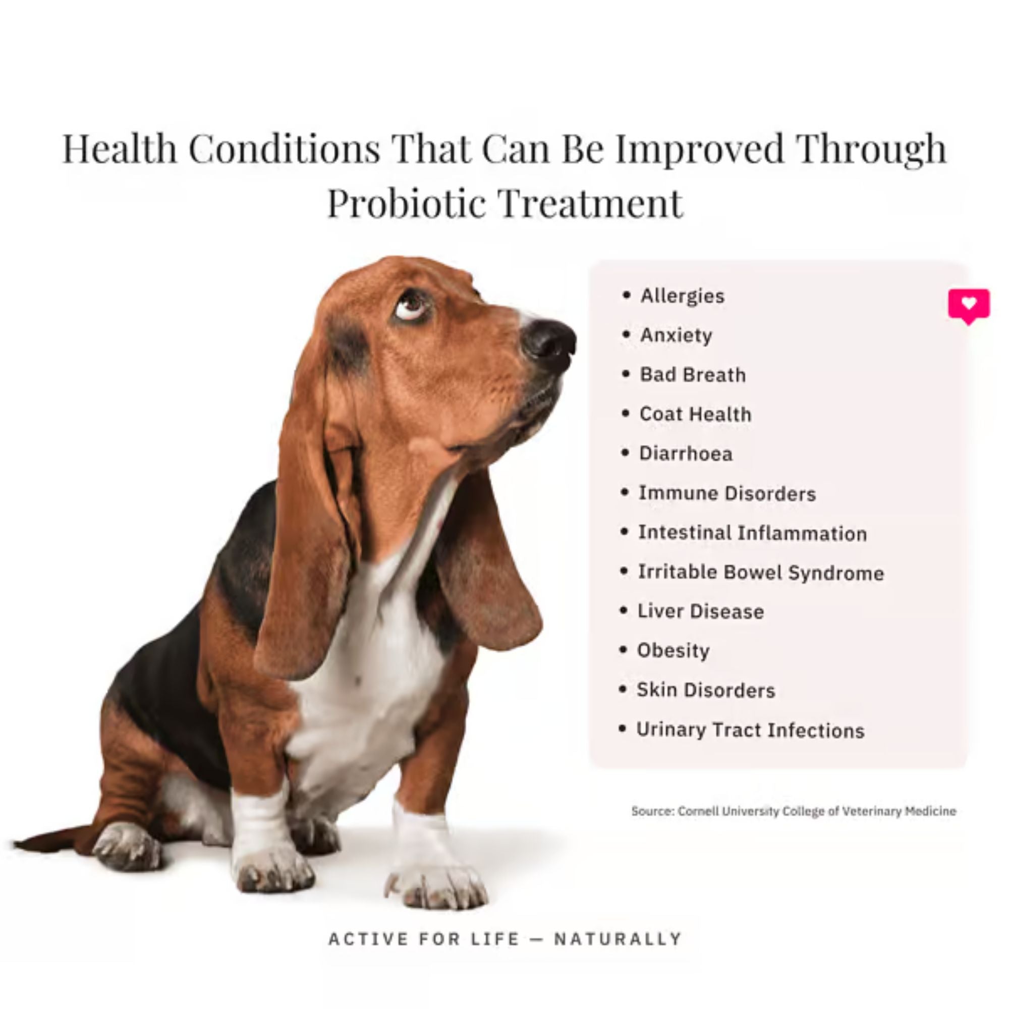 NutriFlex FloraMax Probiotic for Dogs and Cats 180g