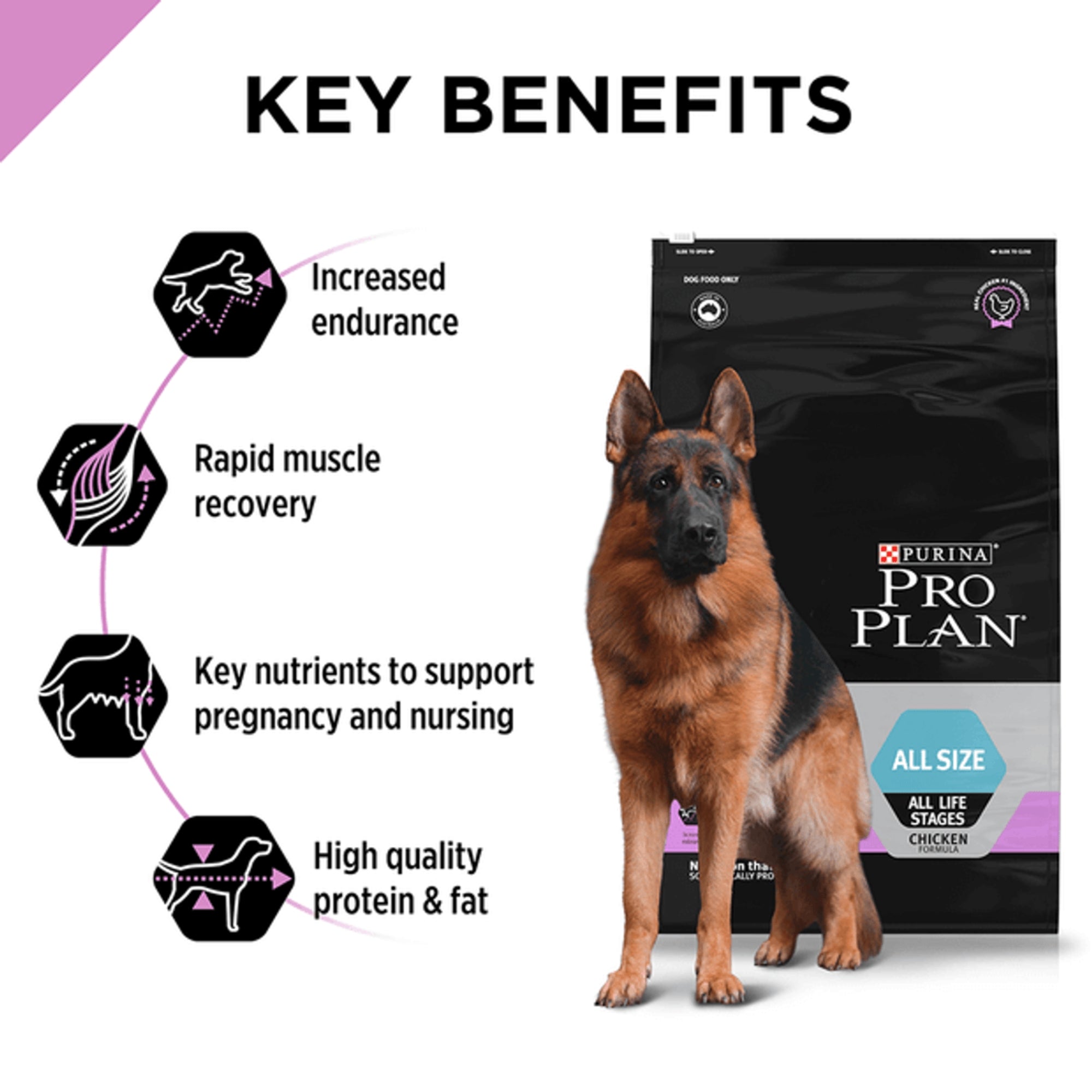 Purina PRO PLAN® Performance All Life Stages Dry Dog Food