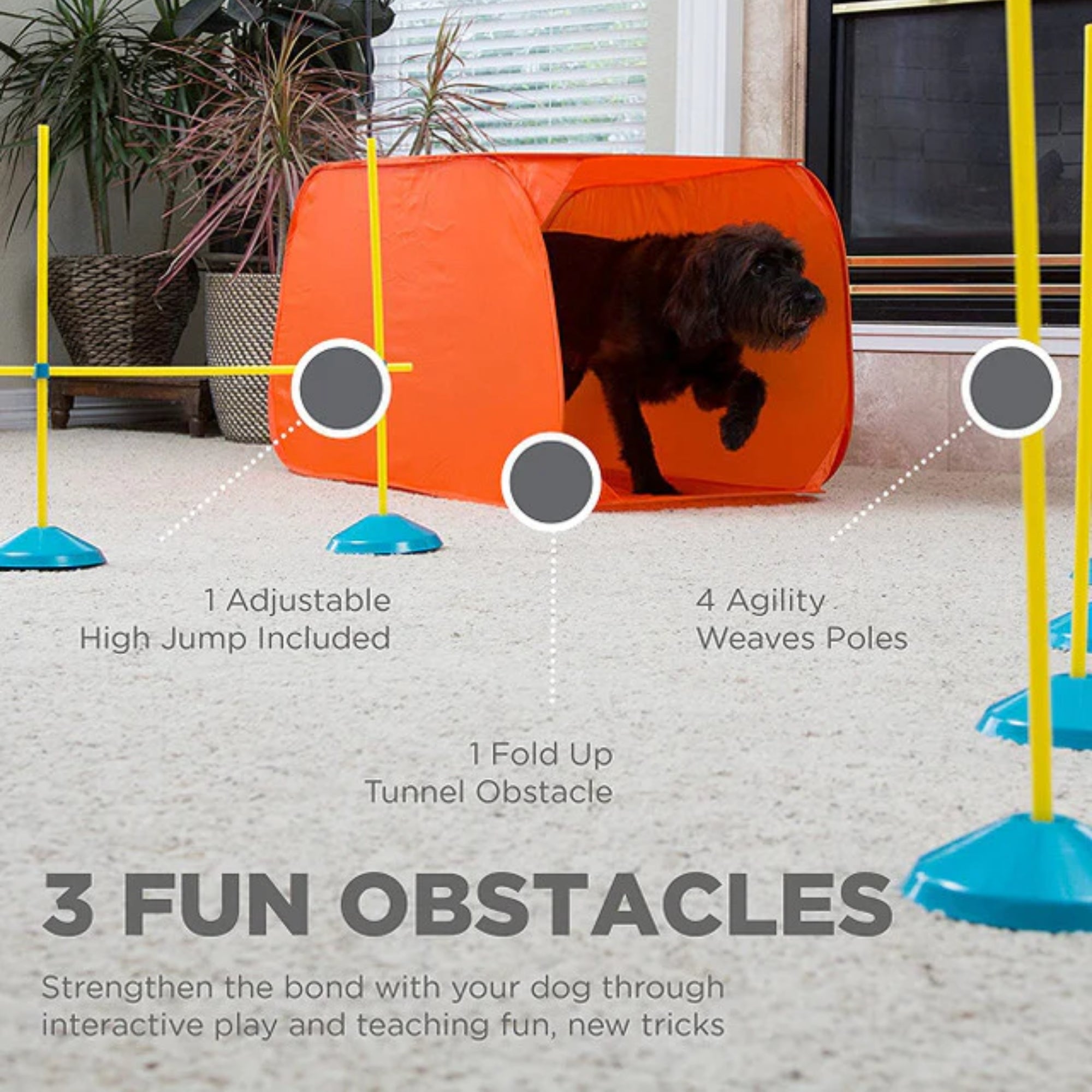 Outward Hound Zip & Zoom Indoor Agility Kit