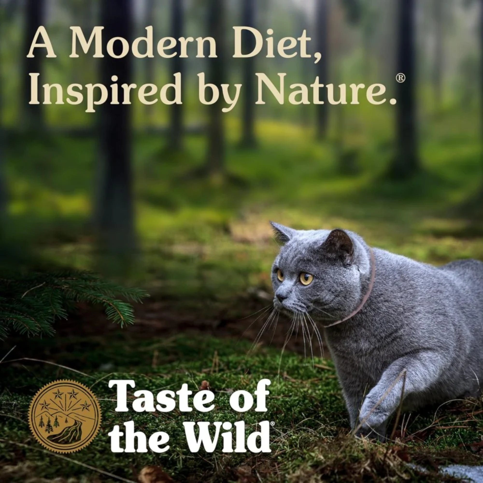 Taste of the Wild Feline Rocky Mountain All Life Stages Formula – Roasted Venison & Smoked Salmo