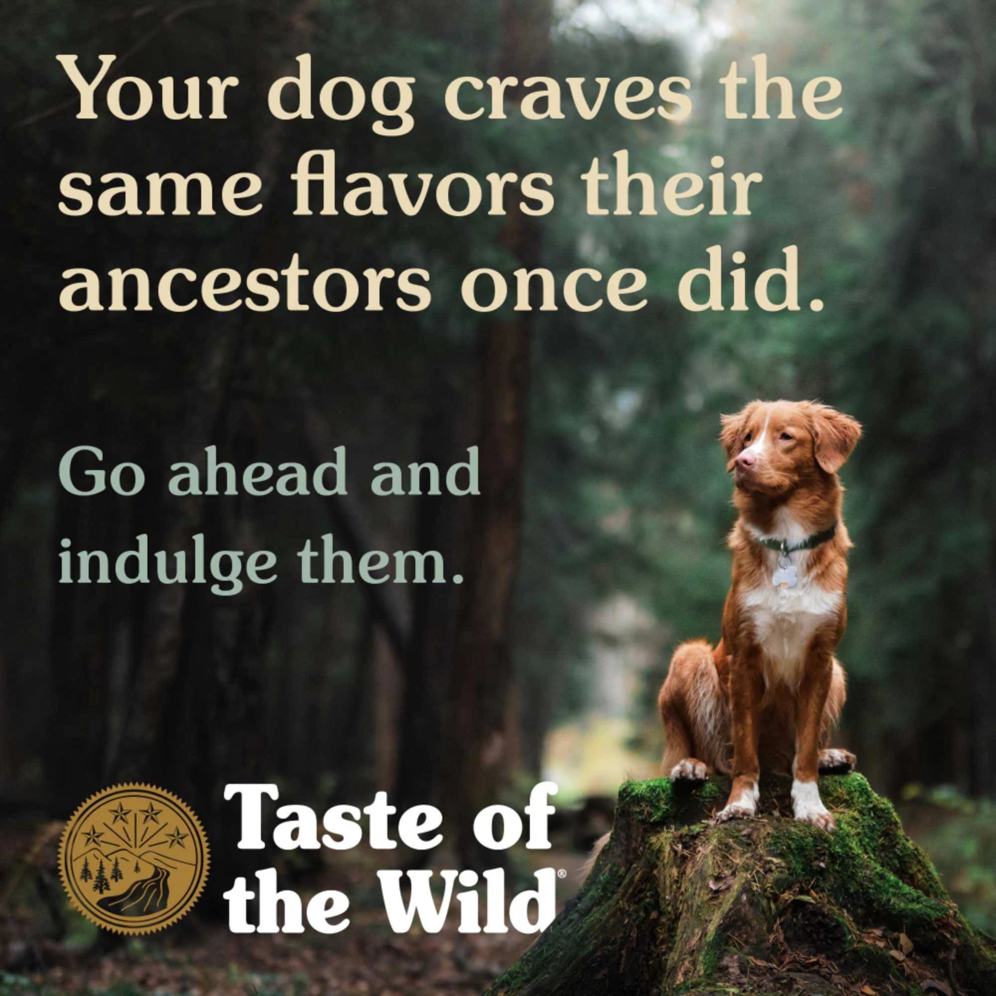 Taste of the Wild Canine Pacific Stream Puppy Formula – Smoked Salmon