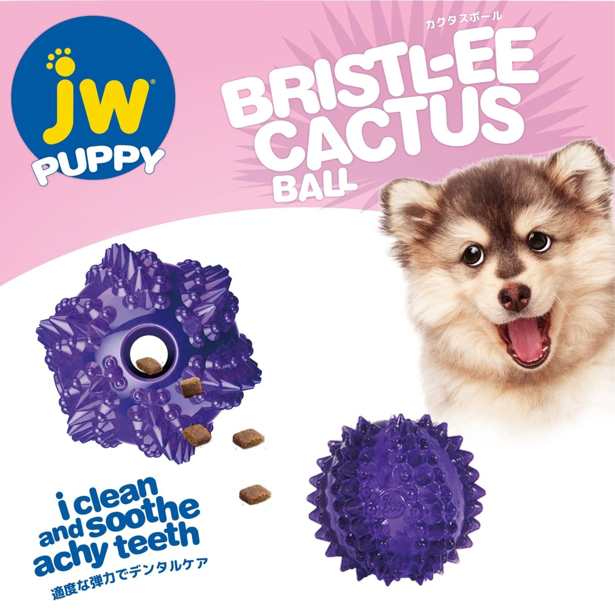 JW Pet Puppy Bristl-ee Cactus Ball Teething Toy